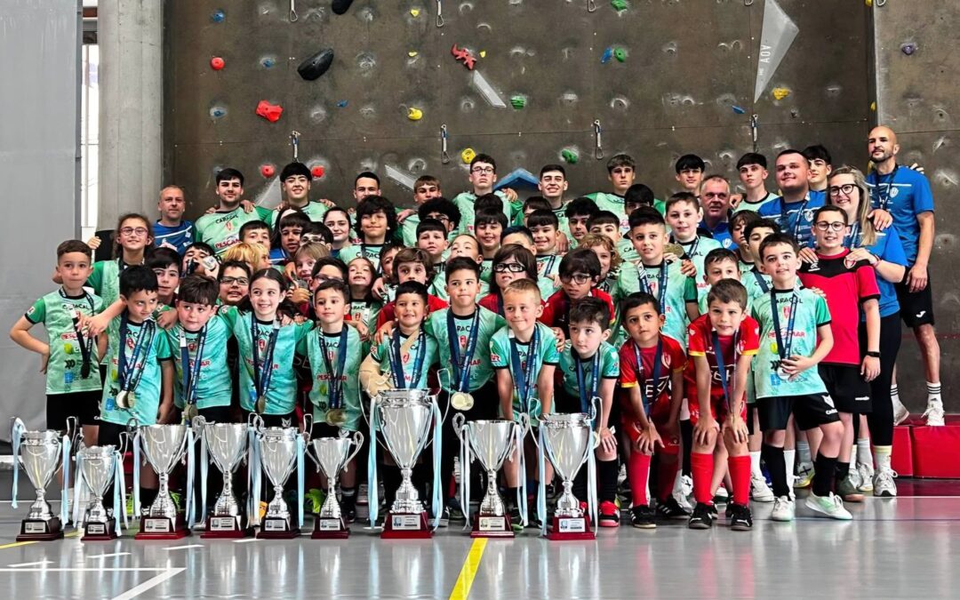 Resumen del curso 2025 / 2026 en el club